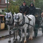Der Umzug